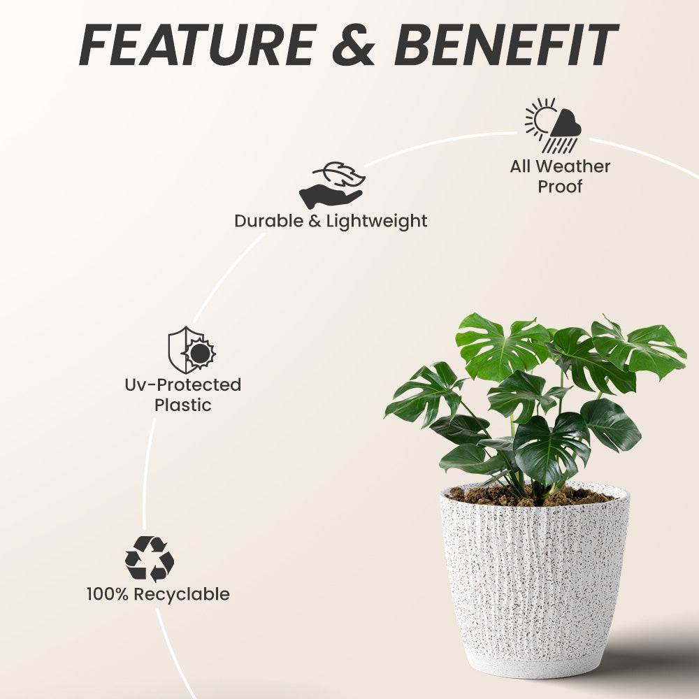 SHERA | EVA PLANTER