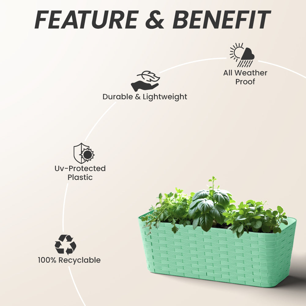 SHERA | RATTAN TRAY