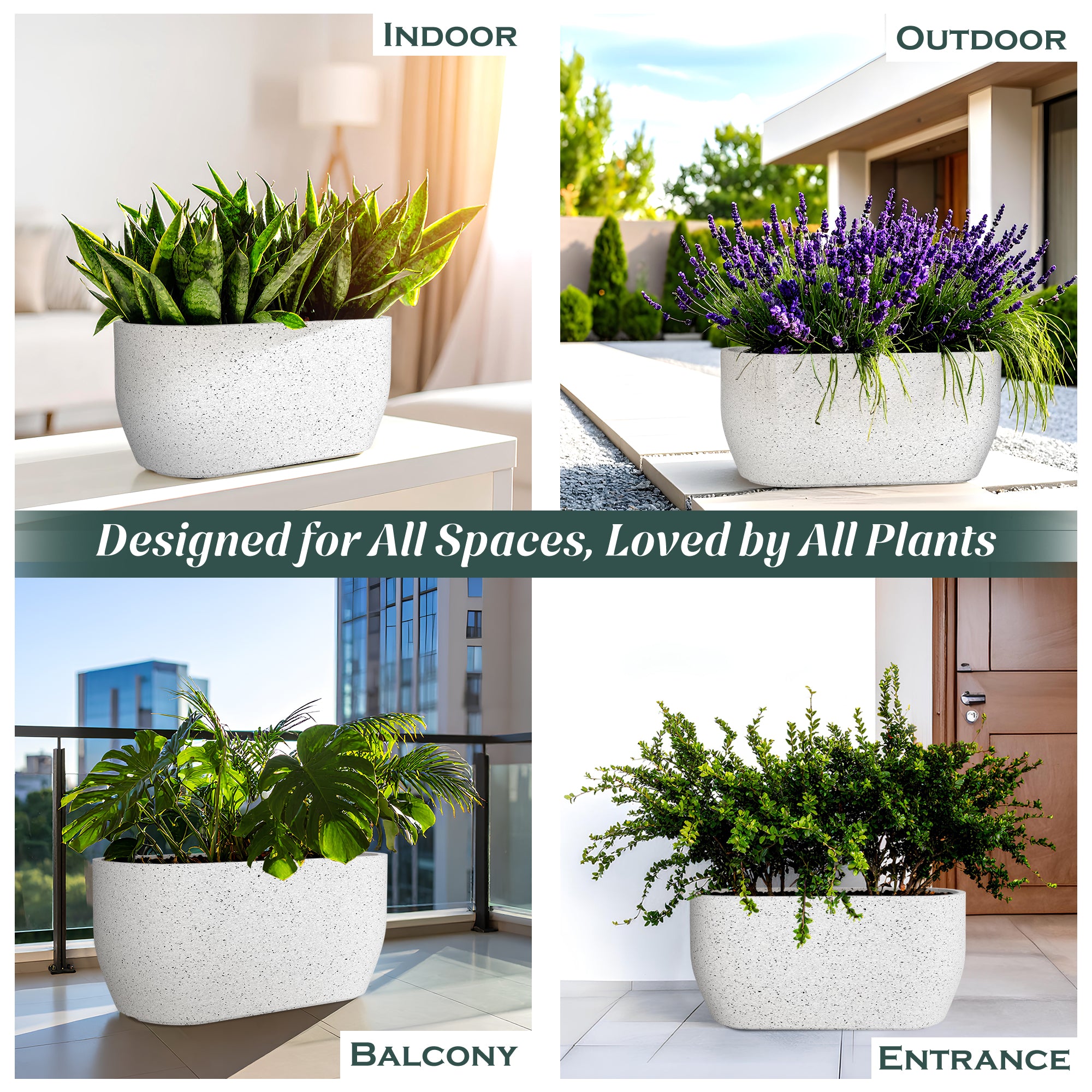 FOX B | PCTR PLANTER