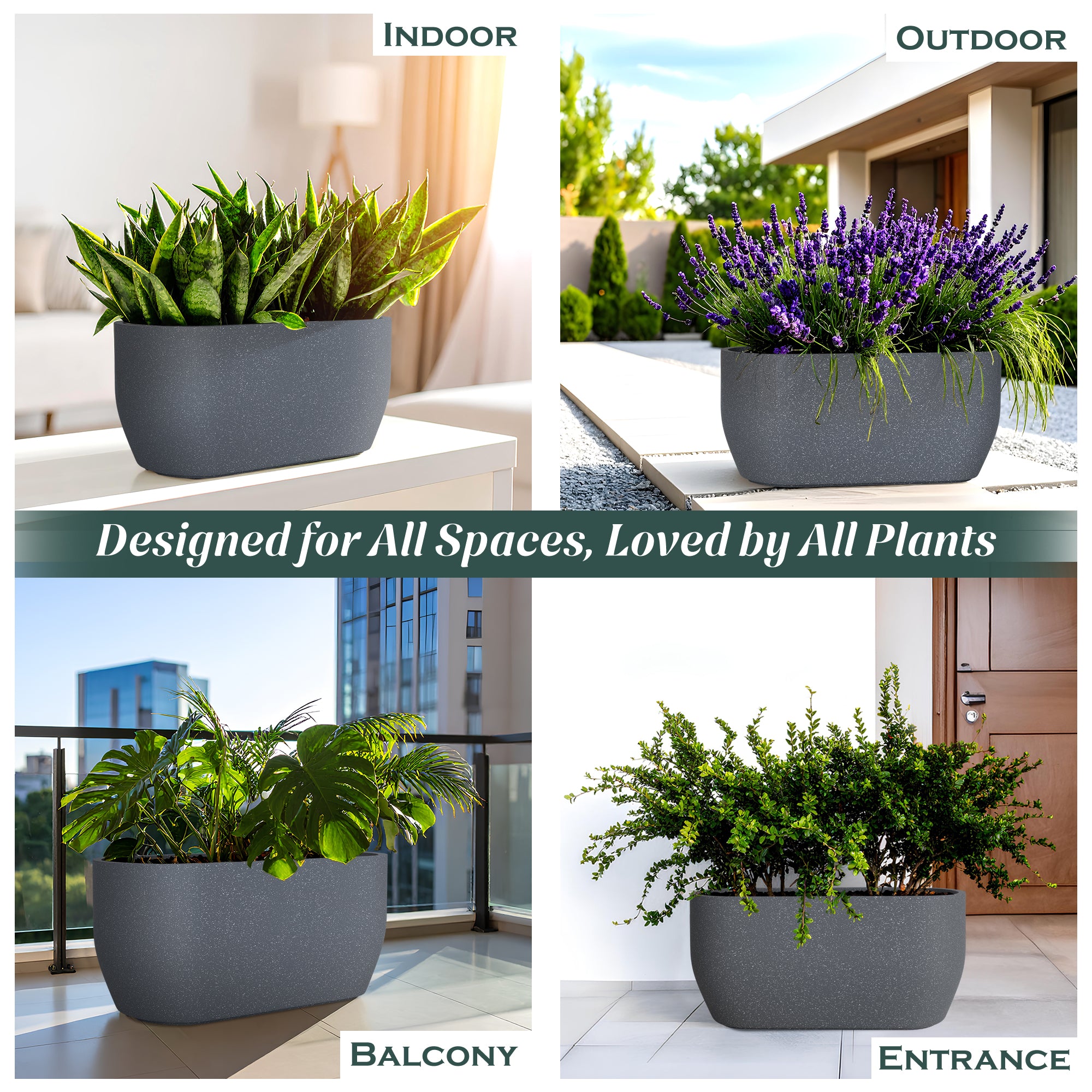 FOX B | PCTR PLANTER