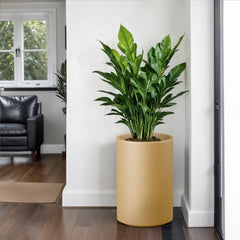 FOX B | CILIN TALL PLANTER