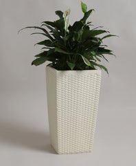 VOZARA | WEAVE TK PLANTER