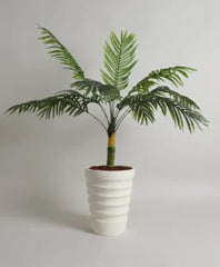 VOZARA | PLONA PLANTER