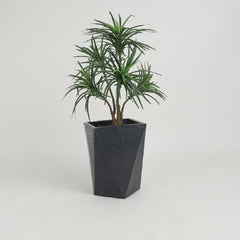 FOX B | DMD PLANTER Grey