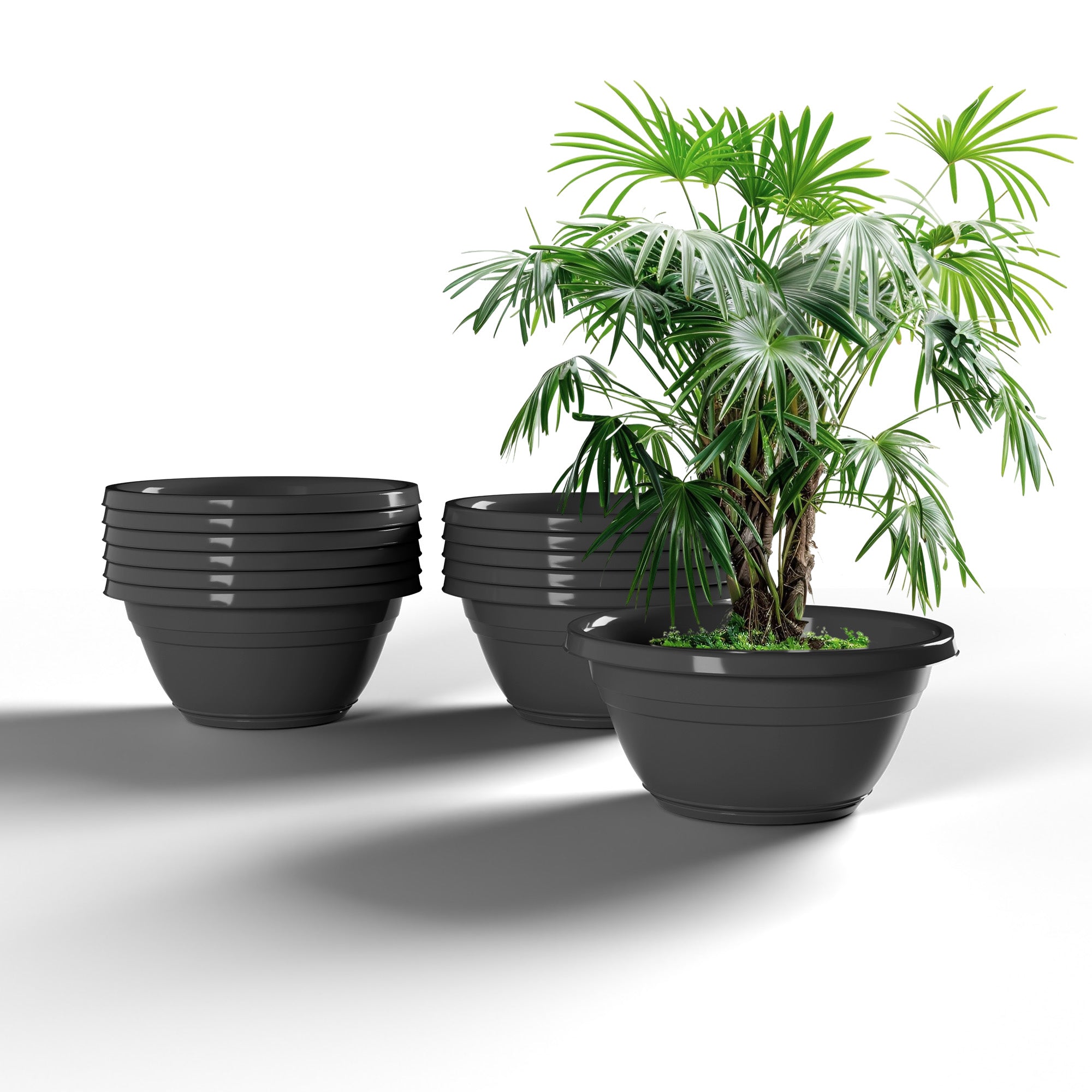 SHERA | BOTANICA BONSAI KTR PLANTER
