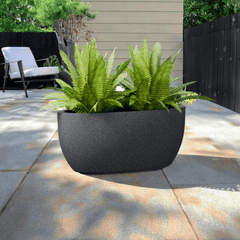 FOX B | PCTR PLANTER