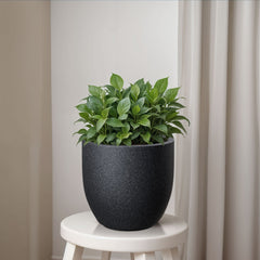 FOX B | P CUP PLANTER