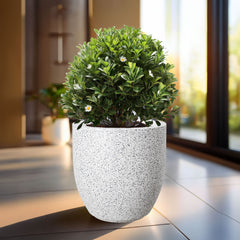 FOX B | P CUP PLANTER