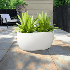 FOX B | PCTR PLANTER